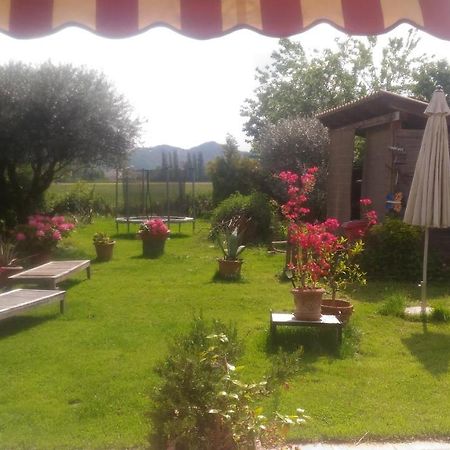 B&B Dora E Flavio Country Rooms Montegrotto Terme Exteriör bild